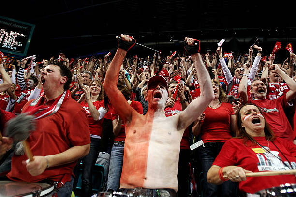 比如菲尔 比如菲尔